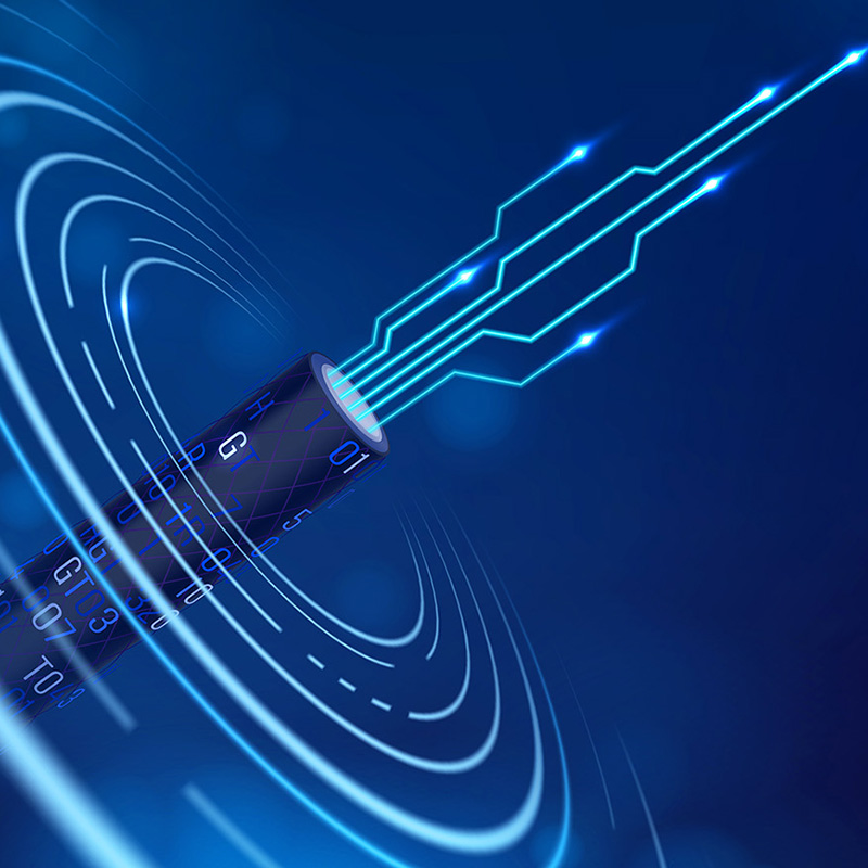 شركة Lianou Electric تعرض منتجات مبتكرة في معرض الكهرباء الدولي، مما يقود الاتجاه الأخضر